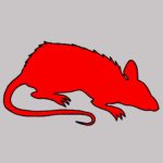 The Bronzeheads red rat worn by the thug